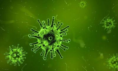 Virus